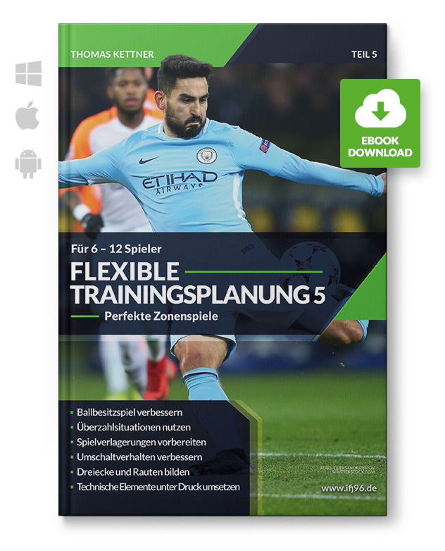 Flexible Trainingsplanung 5 - Zonenspiele für 6 bis 12 Spieler (eBook)