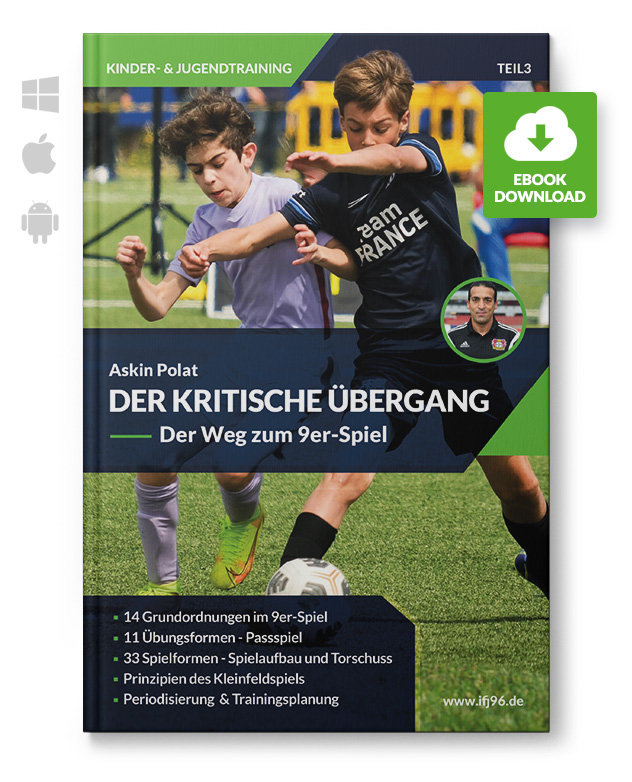 Der Kritische Übergang (eBook)