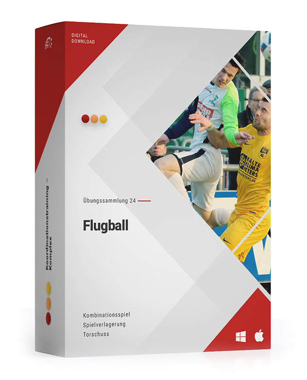 ÜS 24: Flugball
